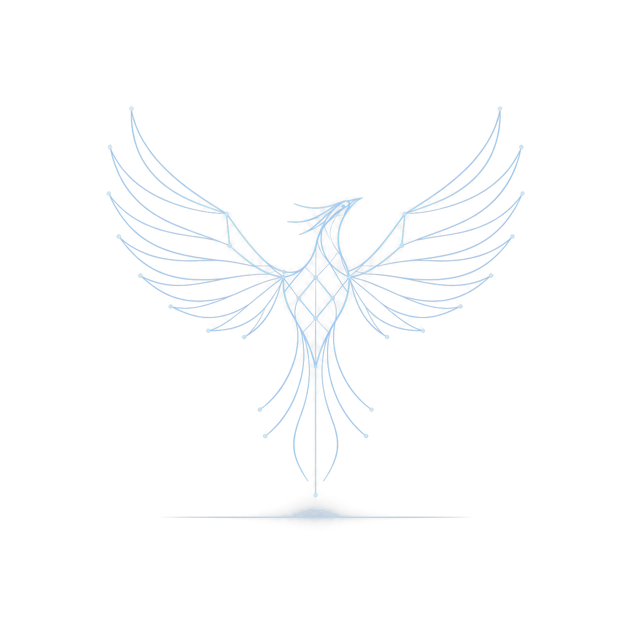 Eon Phoenix — first light